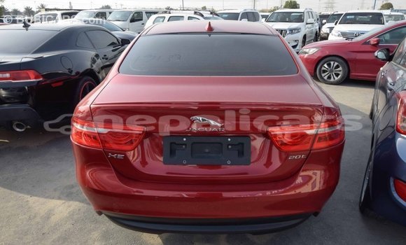Buy Import Jaguar XE Red Car in Import - Dubai in Bagmati Buy Import Jaguar XE Red Car in Import - Dubai in Bagmati