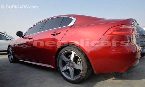 Buy Import Jaguar XE Red Car in Import - Dubai in Bagmati Buy Import Jaguar XE Red Car in Import - Dubai in Bagmati