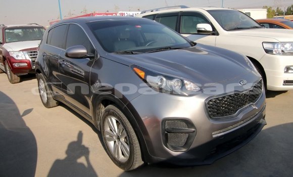 Buy Import Kia Sportage Other Car in Import - Dubai in Bagmati Buy Import Kia Sportage Other Car in Import - Dubai in Bagmati