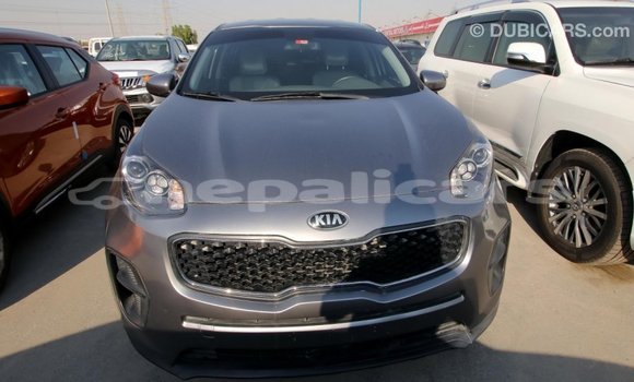 Buy Import Kia Sportage Other Car in Import - Dubai in Bagmati Buy Import Kia Sportage Other Car in Import - Dubai in Bagmati
