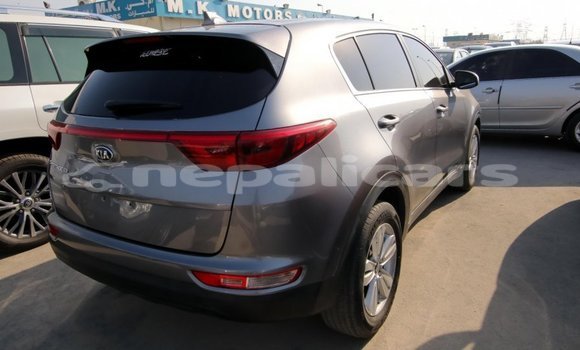 Buy Import Kia Sportage Other Car in Import - Dubai in Bagmati Buy Import Kia Sportage Other Car in Import - Dubai in Bagmati
