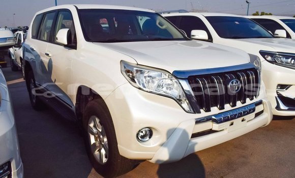 Buy Import Toyota Prado White Car in Import - Dubai in Bagmati Buy Import Toyota Prado White Car in Import - Dubai in Bagmati