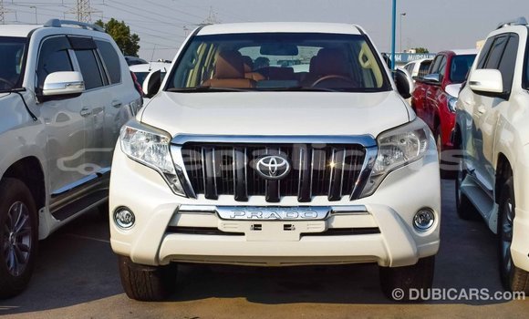 Buy Import Toyota Prado White Car in Import - Dubai in Bagmati Buy Import Toyota Prado White Car in Import - Dubai in Bagmati