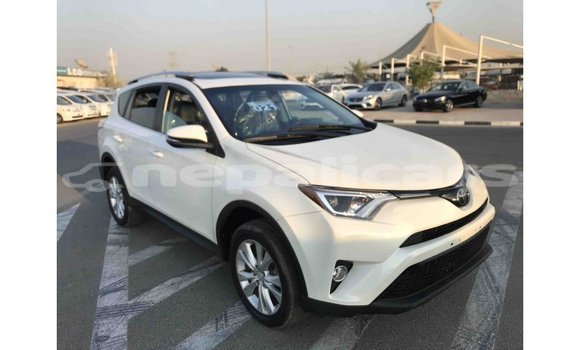 Buy Import Toyota 4Runner White Car in Import - Dubai in Bagmati Buy Import Toyota 4Runner White Car in Import - Dubai in Bagmati