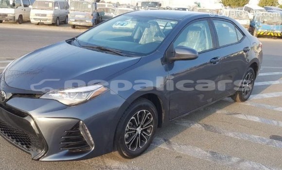 Buy Import Toyota Corolla Other Car in Import - Dubai in Bagmati Buy Import Toyota Corolla Other Car in Import - Dubai in Bagmati