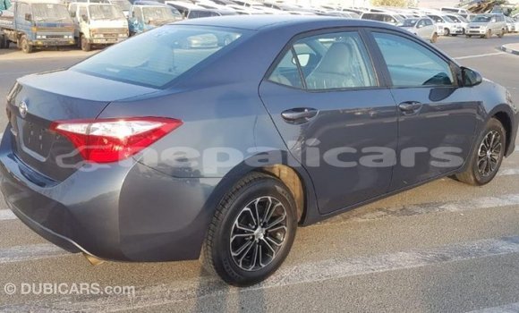 Buy Import Toyota Corolla Other Car in Import - Dubai in Bagmati Buy Import Toyota Corolla Other Car in Import - Dubai in Bagmati