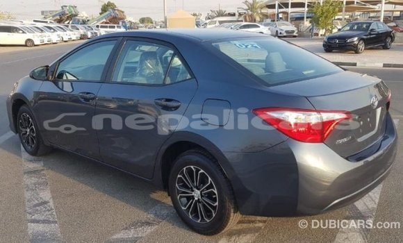 Buy Import Toyota Corolla Other Car in Import - Dubai in Bagmati Buy Import Toyota Corolla Other Car in Import - Dubai in Bagmati