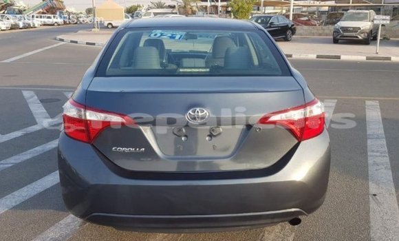 Buy Import Toyota Corolla Other Car in Import - Dubai in Bagmati Buy Import Toyota Corolla Other Car in Import - Dubai in Bagmati