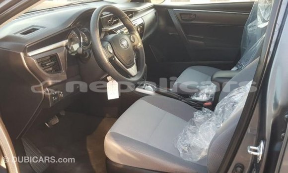 Buy Import Toyota Corolla Other Car in Import - Dubai in Bagmati Buy Import Toyota Corolla Other Car in Import - Dubai in Bagmati