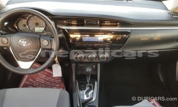 Buy Import Toyota Corolla Other Car in Import - Dubai in Bagmati Buy Import Toyota Corolla Other Car in Import - Dubai in Bagmati