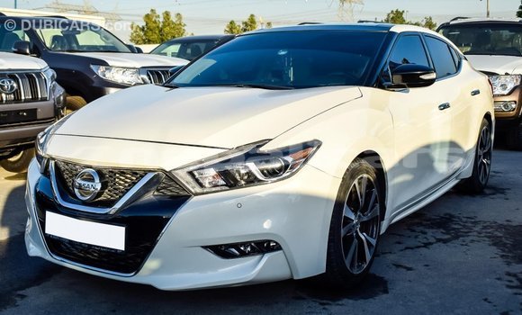 Buy Import Nissan Maxima White Car in Import - Dubai in Bagmati Buy Import Nissan Maxima White Car in Import - Dubai in Bagmati