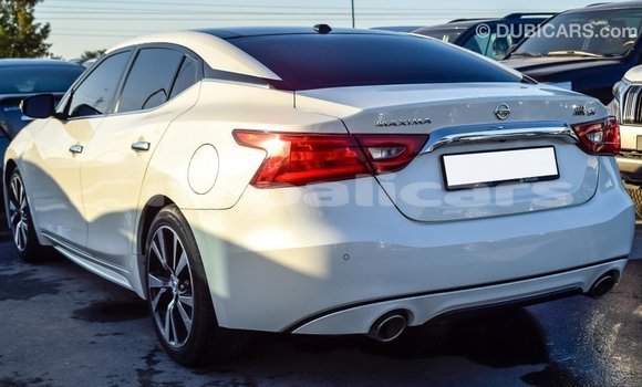 Buy Import Nissan Maxima White Car in Import - Dubai in Bagmati Buy Import Nissan Maxima White Car in Import - Dubai in Bagmati