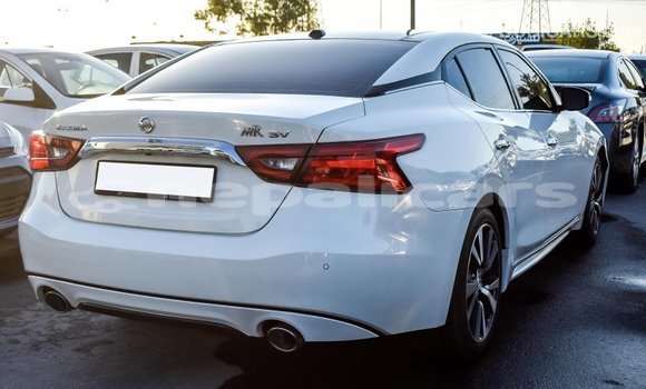 Buy Import Nissan Maxima White Car in Import - Dubai in Bagmati Buy Import Nissan Maxima White Car in Import - Dubai in Bagmati