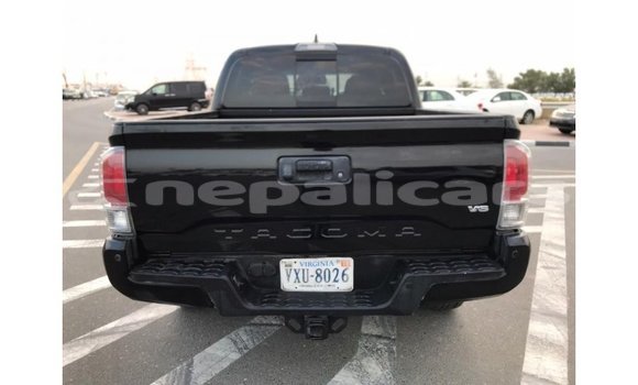 Buy Import Toyota Tacoma Black Car in Import - Dubai in Bagmati Buy Import Toyota Tacoma Black Car in Import - Dubai in Bagmati
