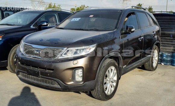 Buy Import Kia Sorento Brown Car in Import - Dubai in Bagmati Buy Import Kia Sorento Brown Car in Import - Dubai in Bagmati