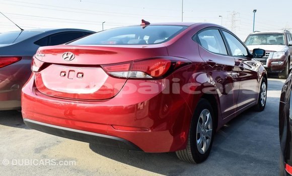 Buy Import Hyundai Elantra Red Car in Import - Dubai in Bagmati Buy Import Hyundai Elantra Red Car in Import - Dubai in Bagmati