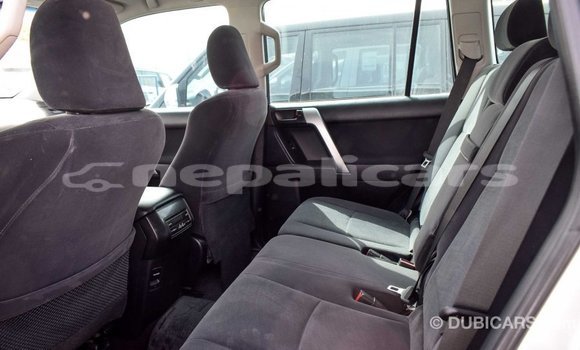 Buy Import Toyota Prado Other Car in Import - Dubai in Bagmati Buy Import Toyota Prado Other Car in Import - Dubai in Bagmati