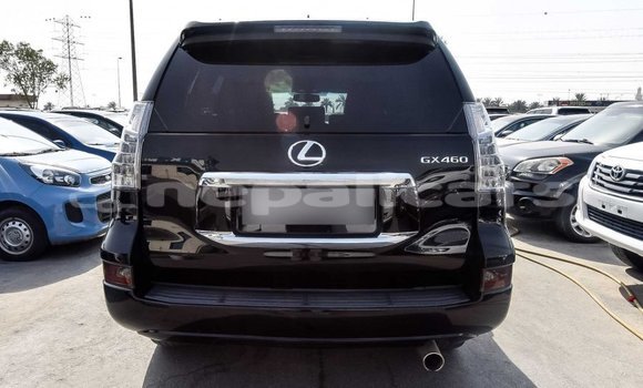 Buy Import Lexus GX Black Car in Import - Dubai in Bagmati Buy Import Lexus GX Black Car in Import - Dubai in Bagmati