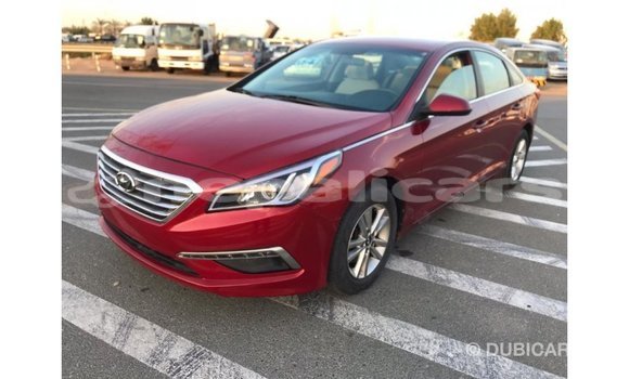 Buy Import Hyundai Sonata Red Car in Import - Dubai in Bagmati Buy Import Hyundai Sonata Red Car in Import - Dubai in Bagmati