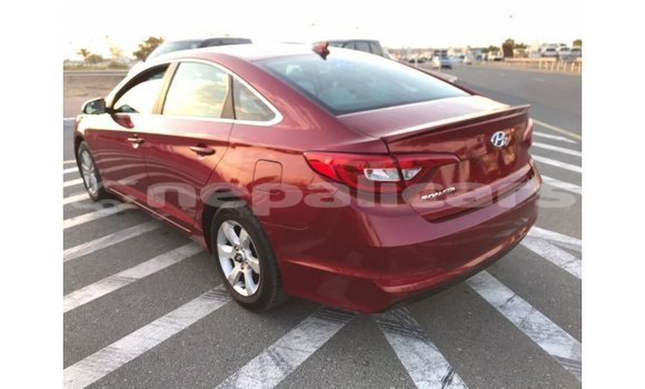 Buy Import Hyundai Sonata Red Car in Import - Dubai in Bagmati Buy Import Hyundai Sonata Red Car in Import - Dubai in Bagmati