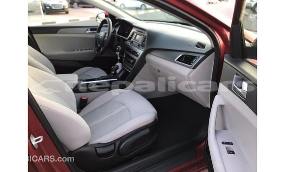 Buy Import Hyundai Sonata Red Car in Import - Dubai in Bagmati Buy Import Hyundai Sonata Red Car in Import - Dubai in Bagmati