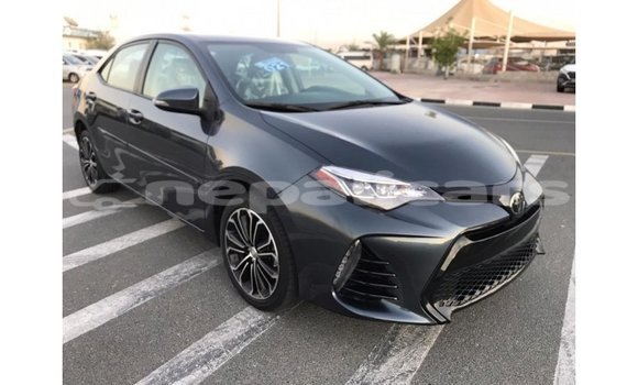 Buy Import Toyota Corolla Other Car in Import - Dubai in Bagmati Buy Import Toyota Corolla Other Car in Import - Dubai in Bagmati