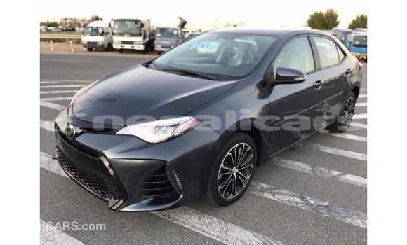 Buy Import Toyota Corolla Other Car in Import - Dubai in Bagmati Buy Import Toyota Corolla Other Car in Import - Dubai in Bagmati