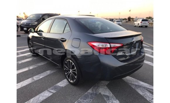 Buy Import Toyota Corolla Other Car in Import - Dubai in Bagmati Buy Import Toyota Corolla Other Car in Import - Dubai in Bagmati