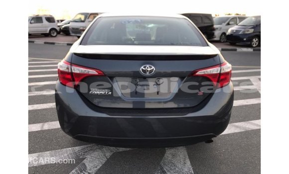 Buy Import Toyota Corolla Other Car in Import - Dubai in Bagmati Buy Import Toyota Corolla Other Car in Import - Dubai in Bagmati