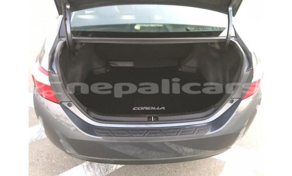 Buy Import Toyota Corolla Other Car in Import - Dubai in Bagmati Buy Import Toyota Corolla Other Car in Import - Dubai in Bagmati
