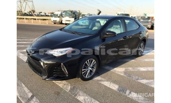Buy Import Toyota Corolla Black Car in Import - Dubai in Bagmati Buy Import Toyota Corolla Black Car in Import - Dubai in Bagmati