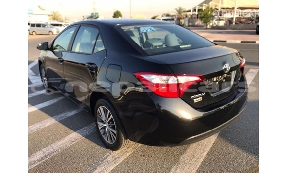 Buy Import Toyota Corolla Black Car in Import - Dubai in Bagmati Buy Import Toyota Corolla Black Car in Import - Dubai in Bagmati