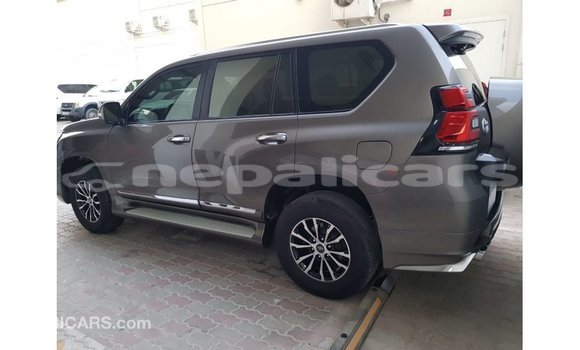 Buy Import Toyota Prado Brown Car in Import - Dubai in Bagmati Buy Import Toyota Prado Brown Car in Import - Dubai in Bagmati