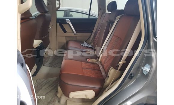 Buy Import Toyota Prado Brown Car in Import - Dubai in Bagmati Buy Import Toyota Prado Brown Car in Import - Dubai in Bagmati