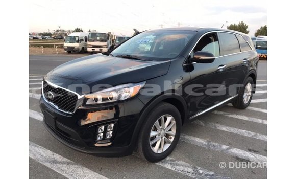 Buy Import Kia Sorento Black Car in Import - Dubai in Bagmati Buy Import Kia Sorento Black Car in Import - Dubai in Bagmati