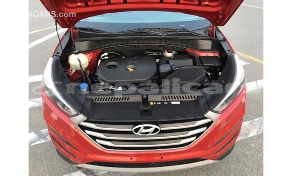 Buy Import Hyundai Tucson Red Car in Import - Dubai in Bagmati Buy Import Hyundai Tucson Red Car in Import - Dubai in Bagmati