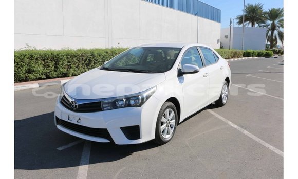 Buy Import Toyota Corolla White Car in Import - Dubai in Bagmati Buy Import Toyota Corolla White Car in Import - Dubai in Bagmati