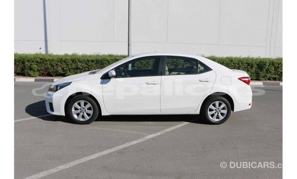 Buy Import Toyota Corolla White Car in Import - Dubai in Bagmati Buy Import Toyota Corolla White Car in Import - Dubai in Bagmati