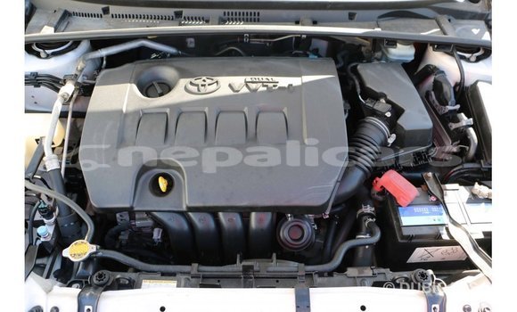 Buy Import Toyota Corolla White Car in Import - Dubai in Bagmati Buy Import Toyota Corolla White Car in Import - Dubai in Bagmati