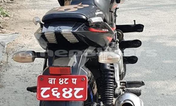 Buy Used Bajaj PULSAR Other Bike in Kathmandu in Bagmati Buy Used Bajaj PULSAR Other Bike in Kathmandu in Bagmati