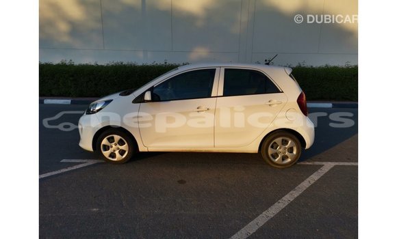 Buy Import Kia Picanto White Car in Import - Dubai in Bagmati Buy Import Kia Picanto White Car in Import - Dubai in Bagmati