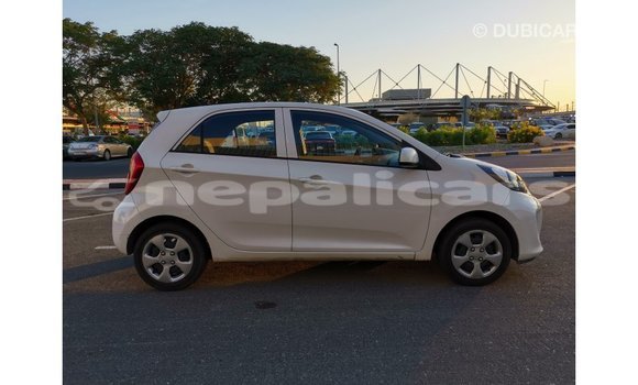 Buy Import Kia Picanto White Car in Import - Dubai in Bagmati Buy Import Kia Picanto White Car in Import - Dubai in Bagmati