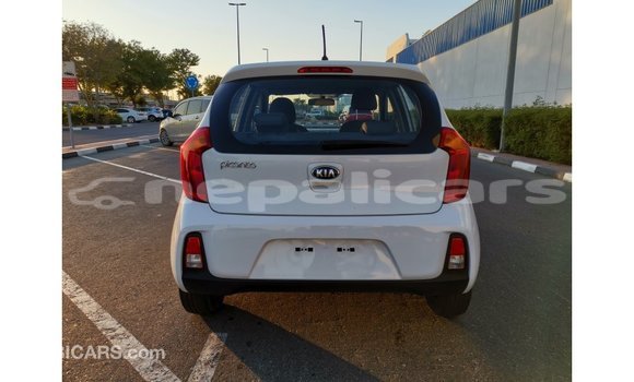 Buy Import Kia Picanto White Car in Import - Dubai in Bagmati Buy Import Kia Picanto White Car in Import - Dubai in Bagmati