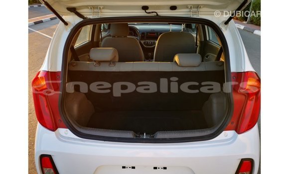 Buy Import Kia Picanto White Car in Import - Dubai in Bagmati Buy Import Kia Picanto White Car in Import - Dubai in Bagmati