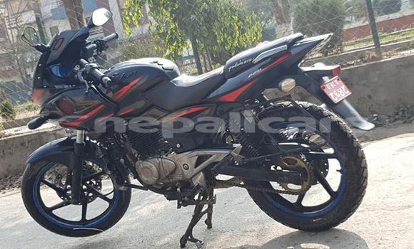 Buy Used Bajaj PULSAR Other Bike in Kathmandu in Bagmati Buy Used Bajaj PULSAR Other Bike in Kathmandu in Bagmati