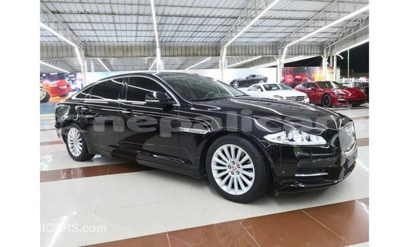 Buy Import Jaguar XJ Black Car in Import - Dubai in Bagmati Buy Import Jaguar XJ Black Car in Import - Dubai in Bagmati