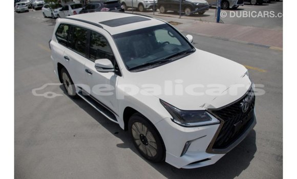 Buy Import Lexus LX White Car in Import - Dubai in Bagmati Buy Import Lexus LX White Car in Import - Dubai in Bagmati