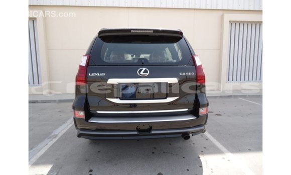 Buy Import Lexus GX Black Car in Import - Dubai in Bagmati Buy Import Lexus GX Black Car in Import - Dubai in Bagmati