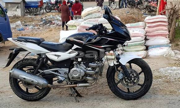 Buy Used Bajaj PULSAR Other Bike in Kathmandu in Bagmati Buy Used Bajaj PULSAR Other Bike in Kathmandu in Bagmati
