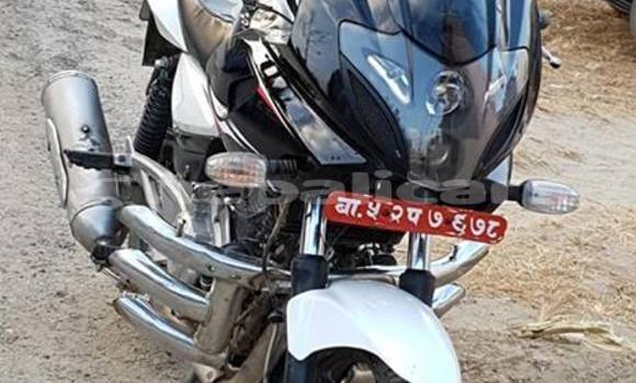 Buy Used Bajaj PULSAR Other Bike in Kathmandu in Bagmati Buy Used Bajaj PULSAR Other Bike in Kathmandu in Bagmati